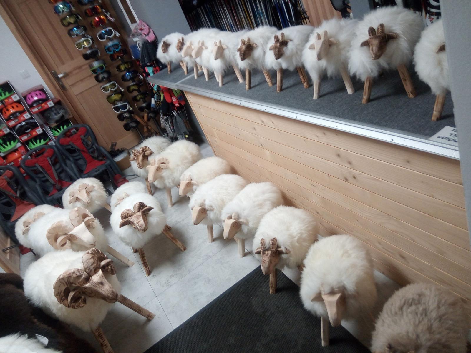 Oferta nart i snowboardów